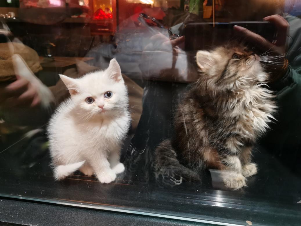 重慶酒吧裝修效果圖：裝修很漂亮獨(dú)特的一家酒吧